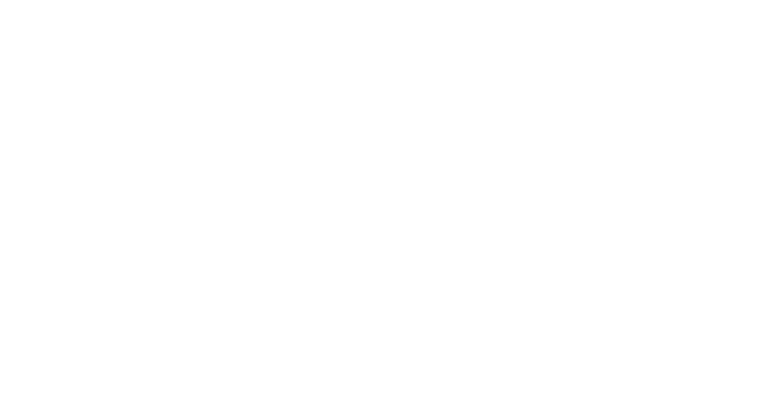 IDS TECHNOLOGIE